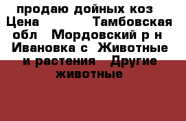 продаю дойных коз › Цена ­ 5 000 - Тамбовская обл., Мордовский р-н, Ивановка с. Животные и растения » Другие животные   . Тамбовская обл.